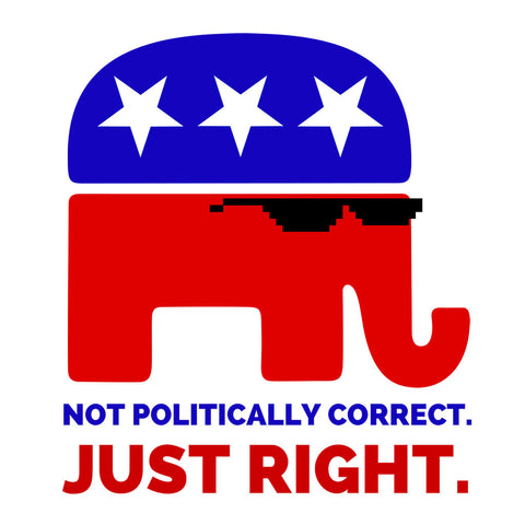 Not Politically Correct, Just RIGHT.